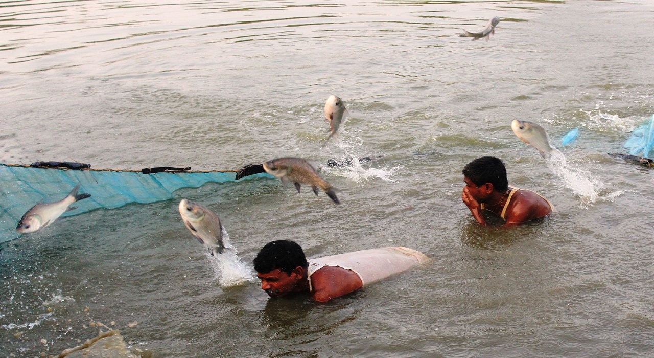 Fish Farming