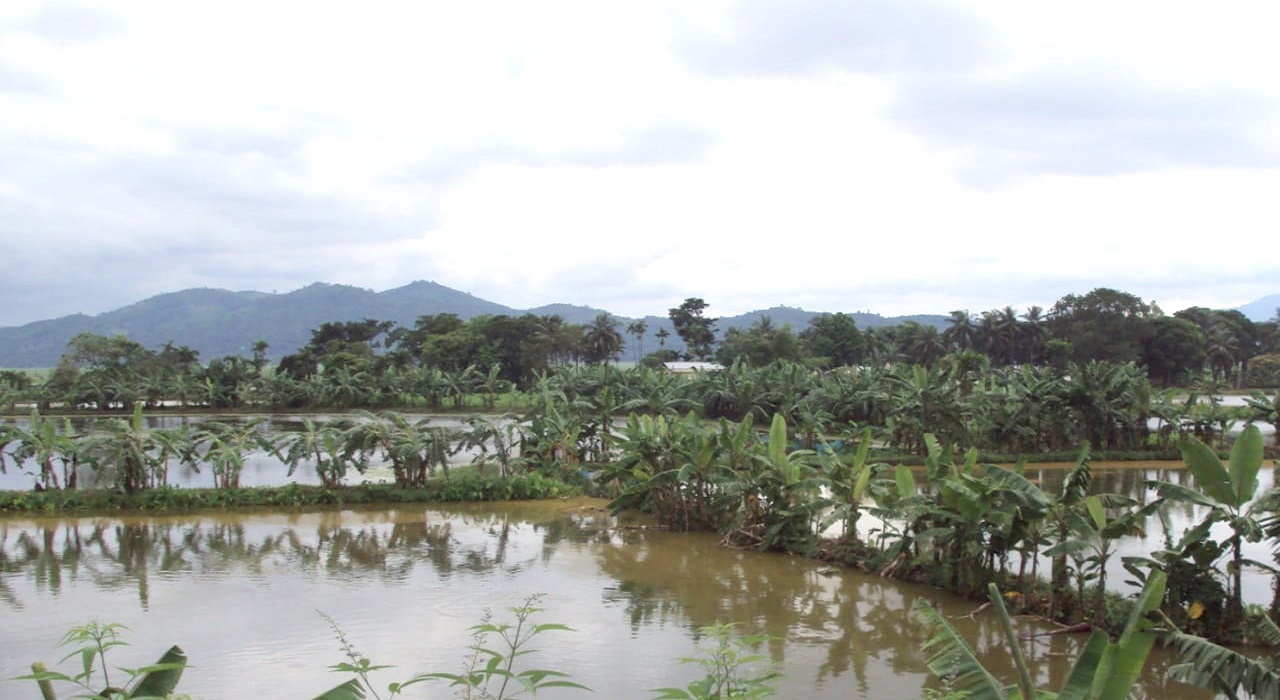Integrated Aquaculture